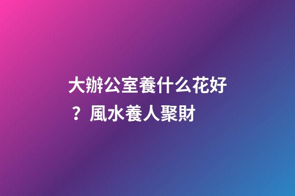 大辦公室養什么花好？風水養人聚財